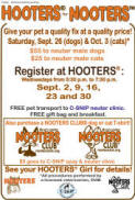 Hooters for NOOTERS poster
