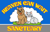 Heavan Can Wait Sanctuary