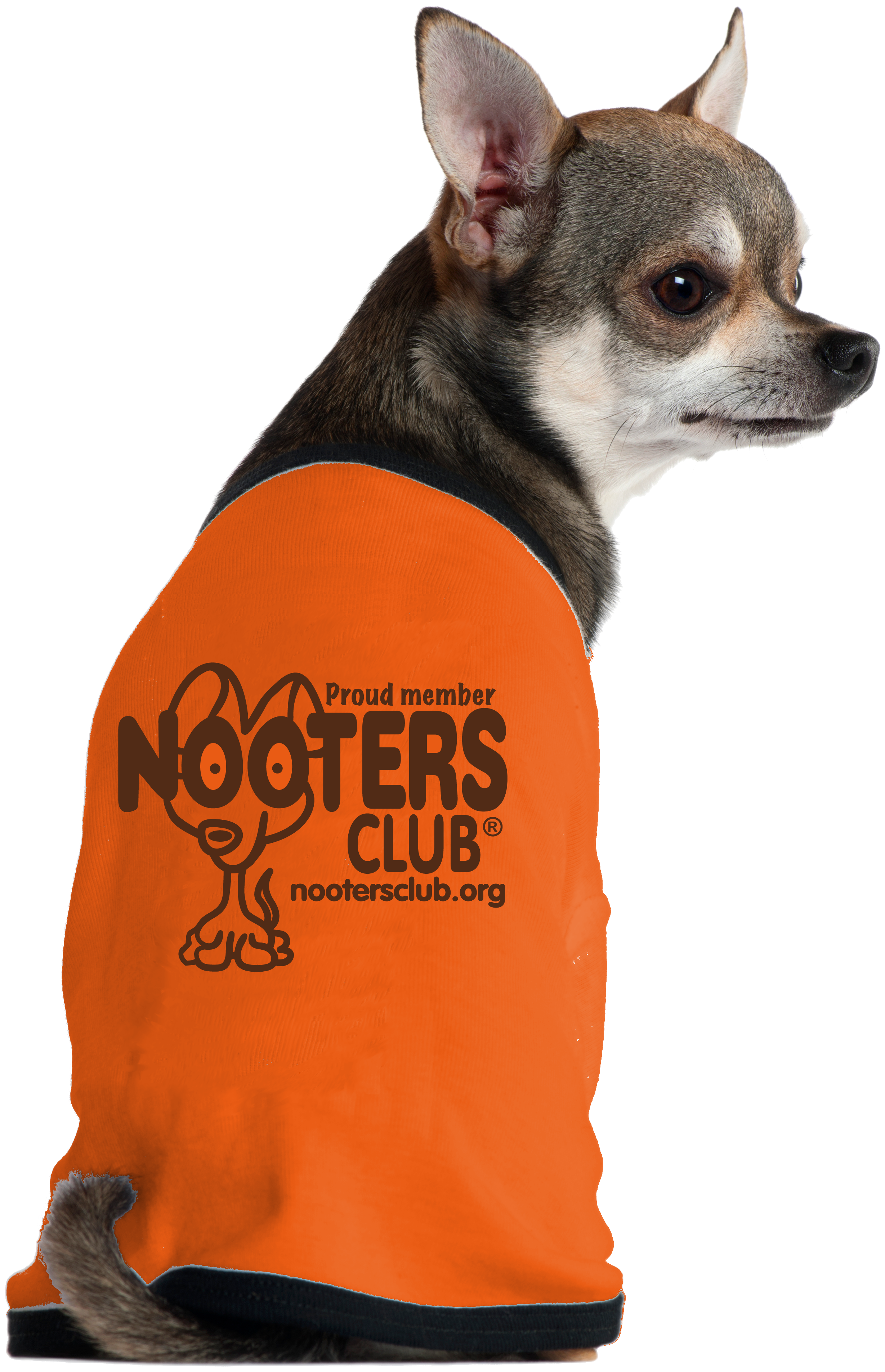 nooters club dog shirt orange pet shirt dog lover gift